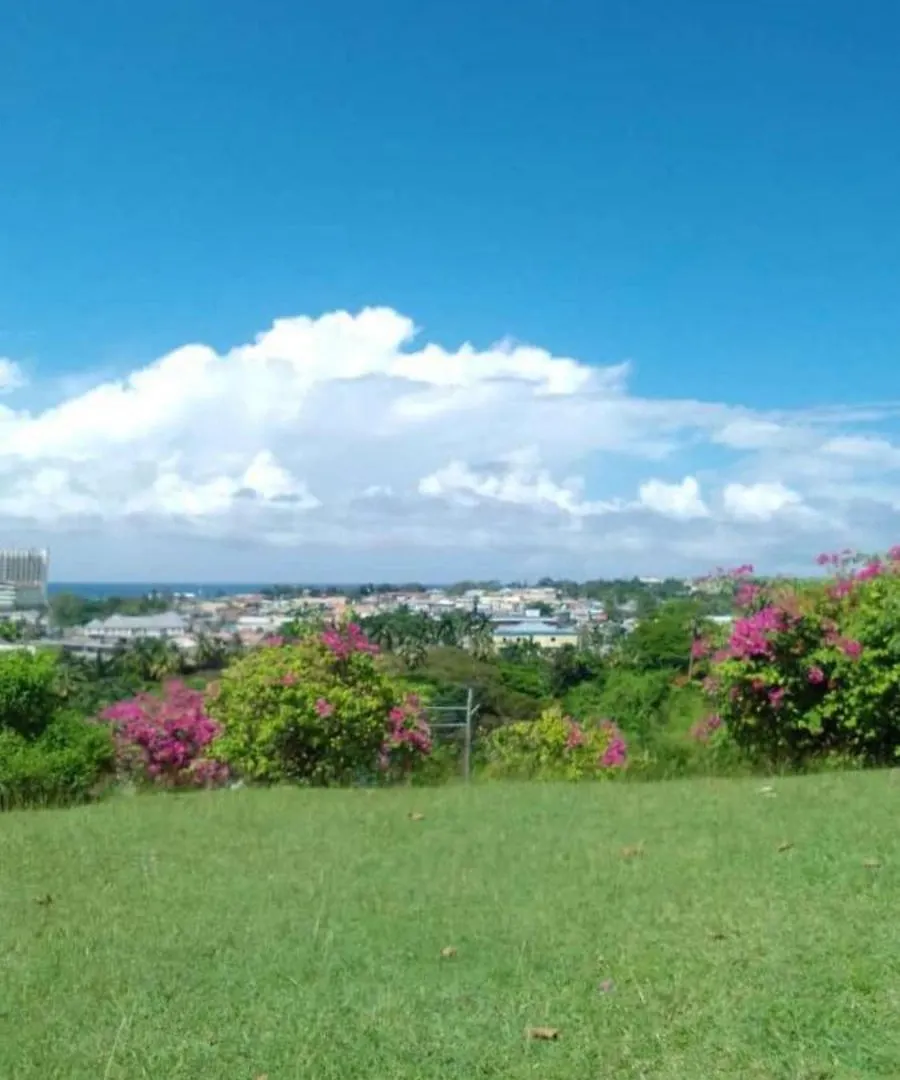 Comfort Zone At The Ridge E17 Ocho Rios Apartment