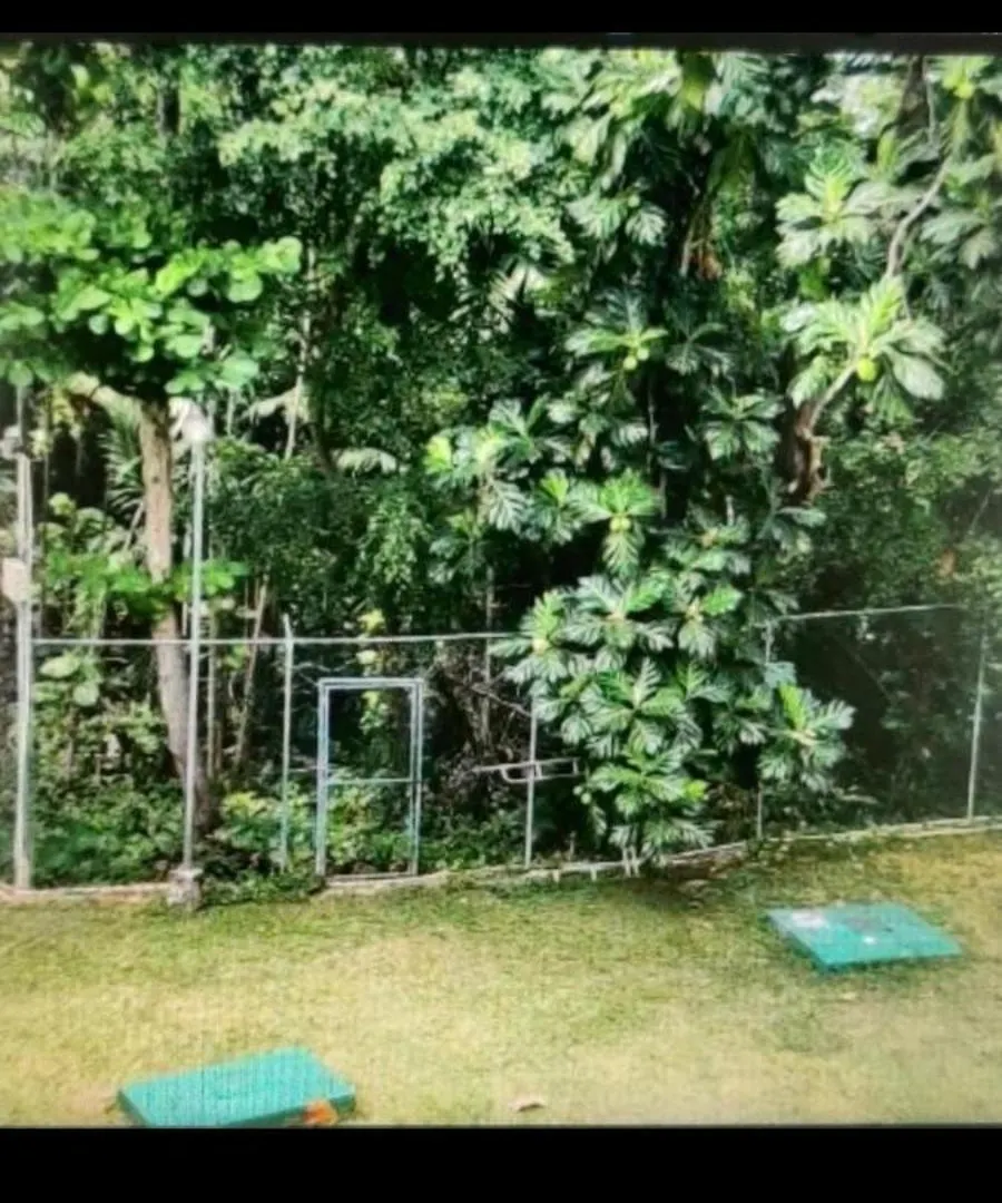 Apartment Comfort Zone At The Ridge E17 Ocho Rios Jamaica