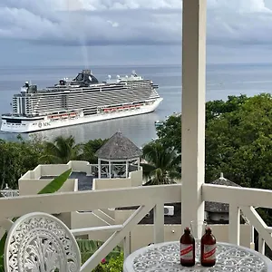 Hummingbird Retreat - Luxury Oceanview Apt, 7-minute Walk To Apartment